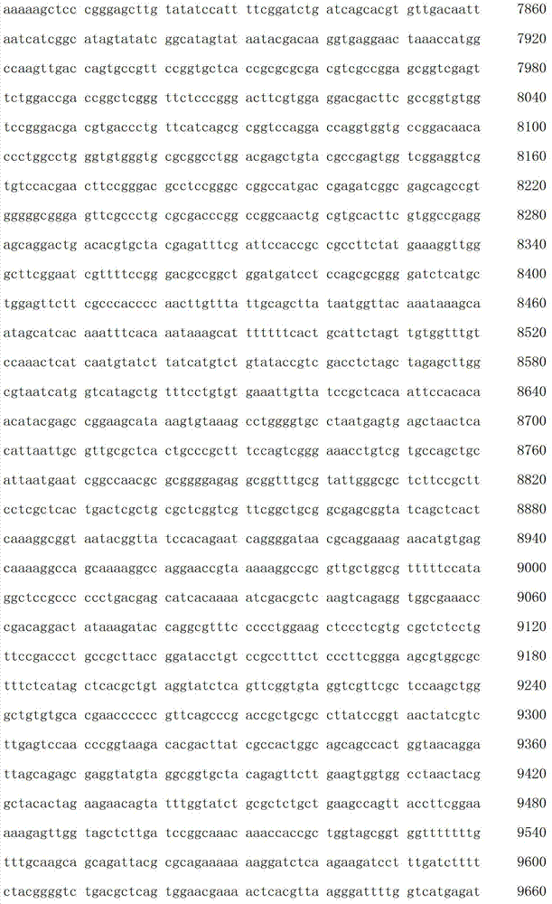 Figure IDA00003076741800501