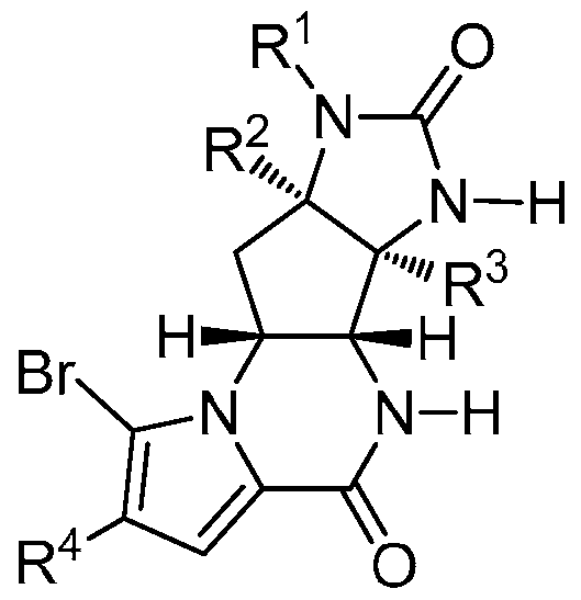 Figure imgf000011_0002