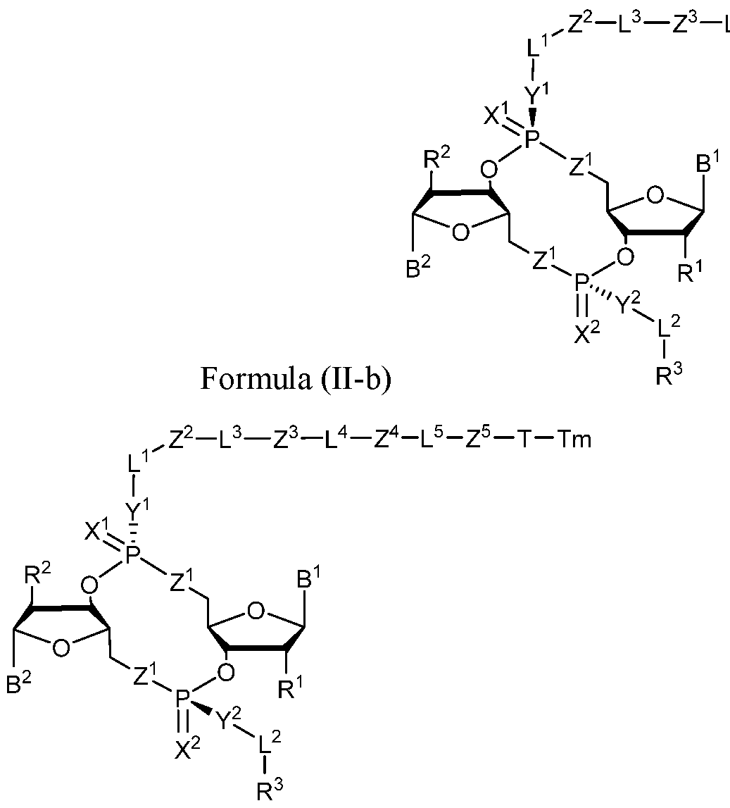 Figure imgf000010_0001