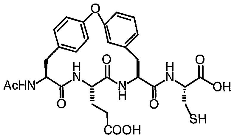 Figure imgf000004_0001