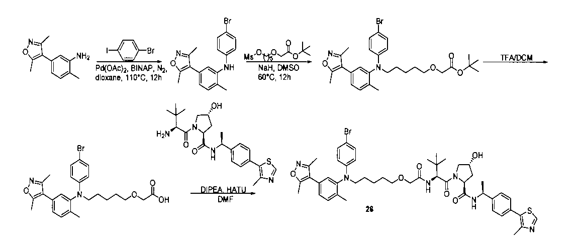 Figure 2022533147000099