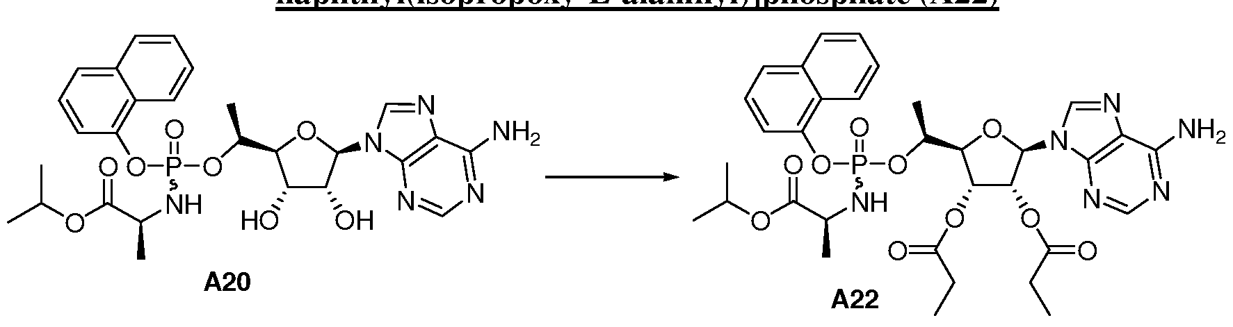 Figure imgf000175_0002