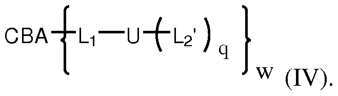 Figure imgf000004_0002