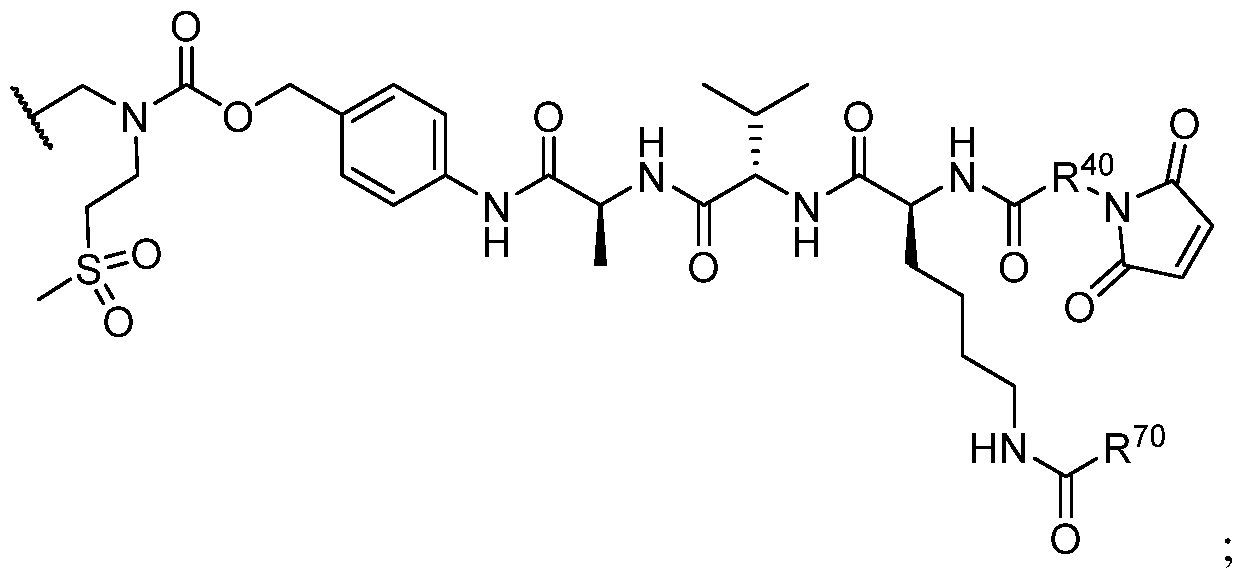 Figure imgf000219_0002