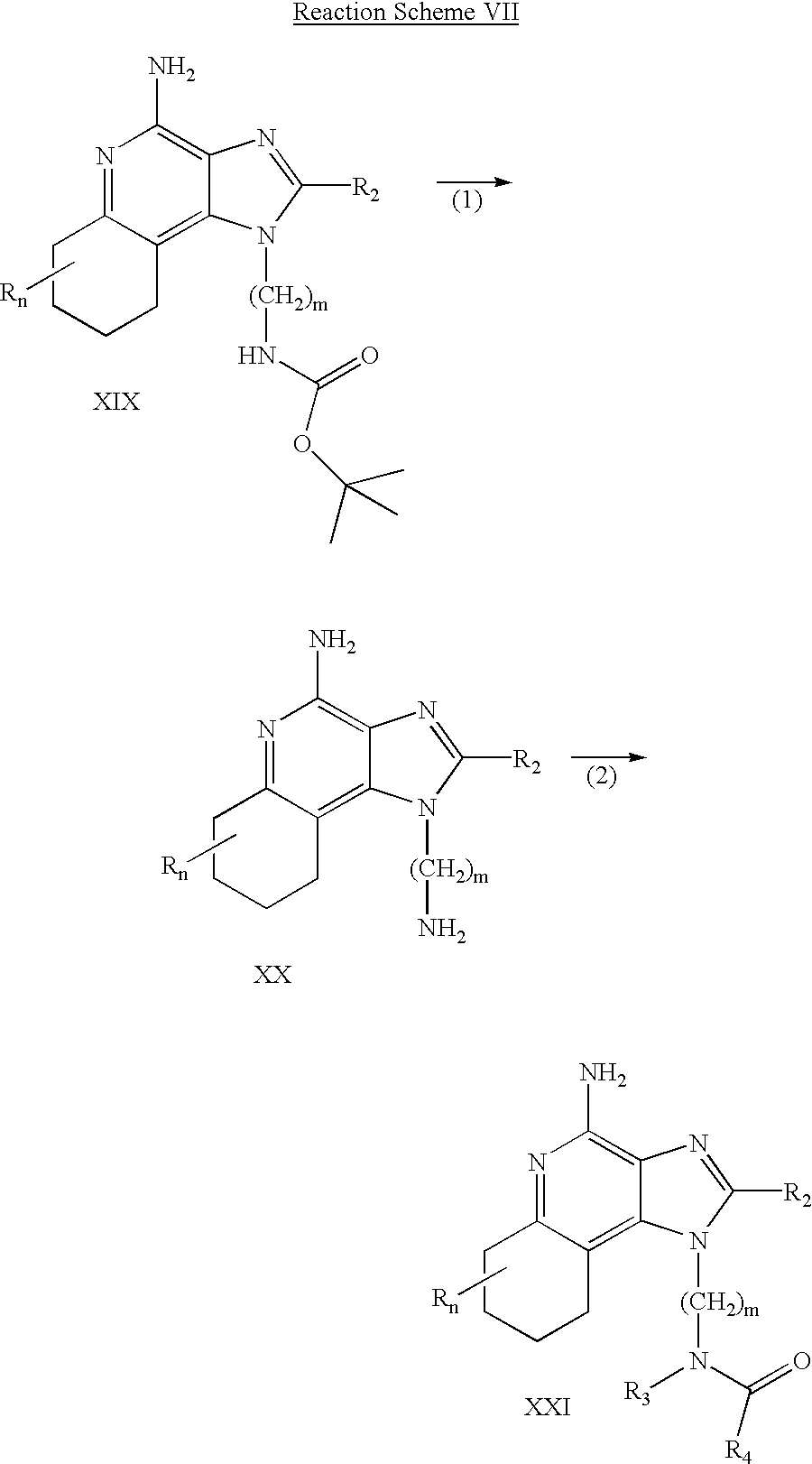 Figure US20030144283A1-20030731-C00017
