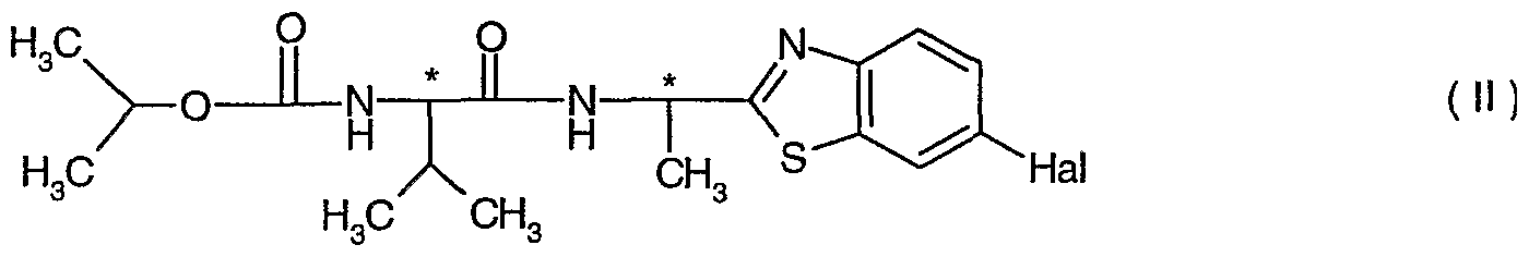 Figure imgf000003_0002