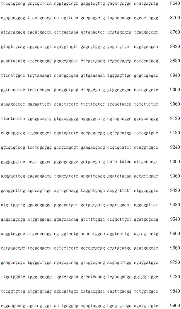 Figure IDA0002872168960000361