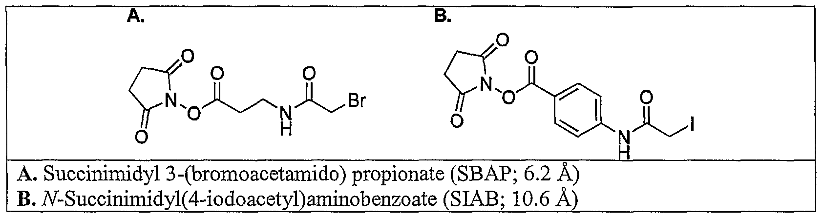 Figure imgf000044_0001