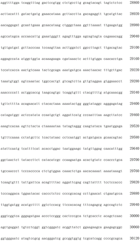 Figure IDA0002872168960001781