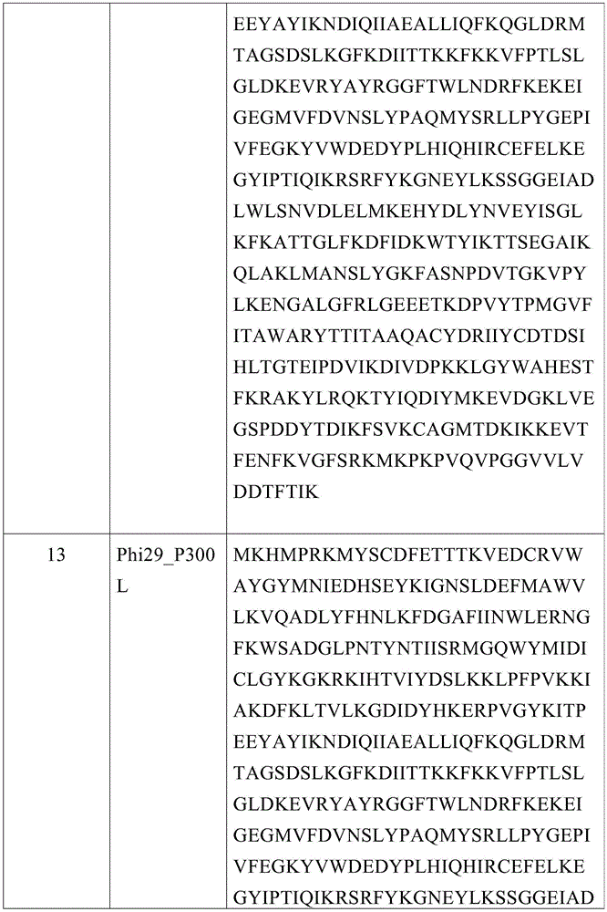 Figure BDA0003882873210000261