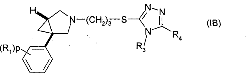 Figure S05812615520061025D000071