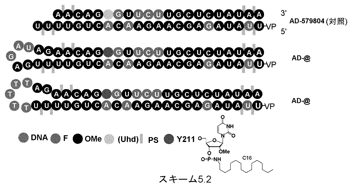 Figure 2025516680000201