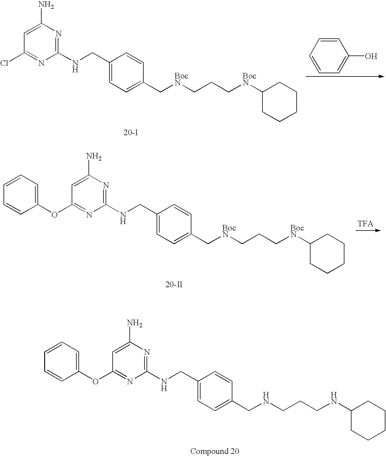 Figure US08193206-20120605-C00110