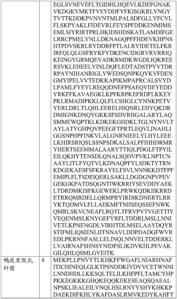 Figure BDA0002313867470002771