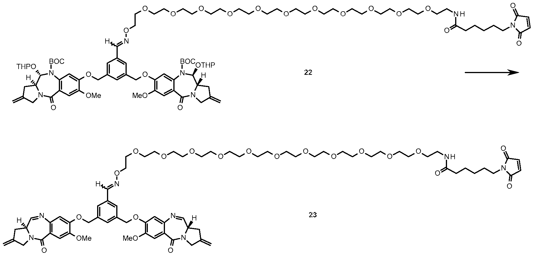 Figure imgf000115_0001