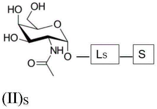Figure BDA0004086040580000172