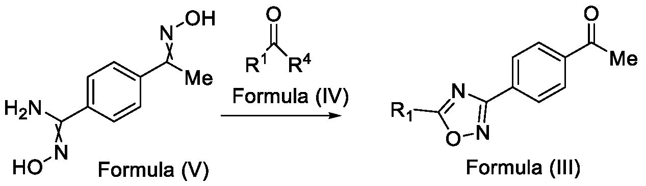 Figure imgf000005_0004