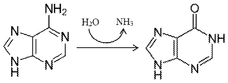 Figure imgf000059_0001