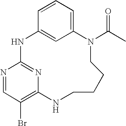 Figure US20040209895A1-20041021-C00185