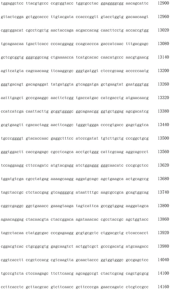 Figure IDA0002872168960001911