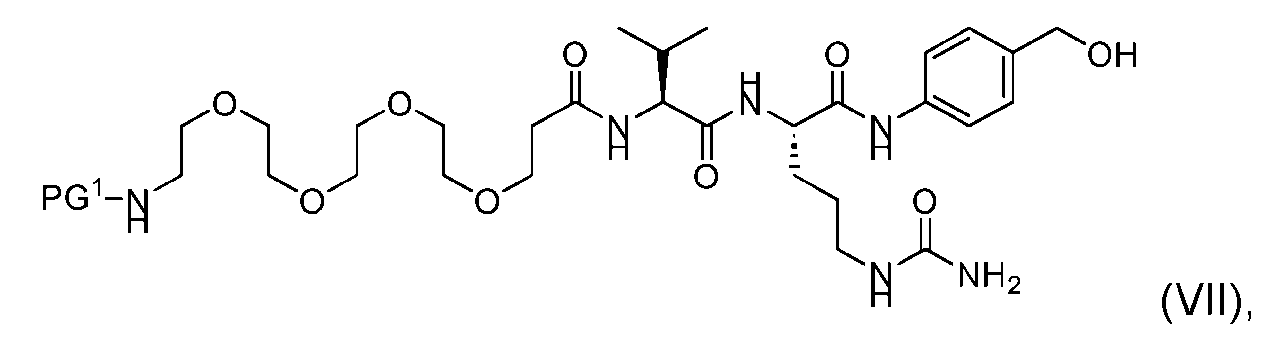 Figure imgf000019_0004