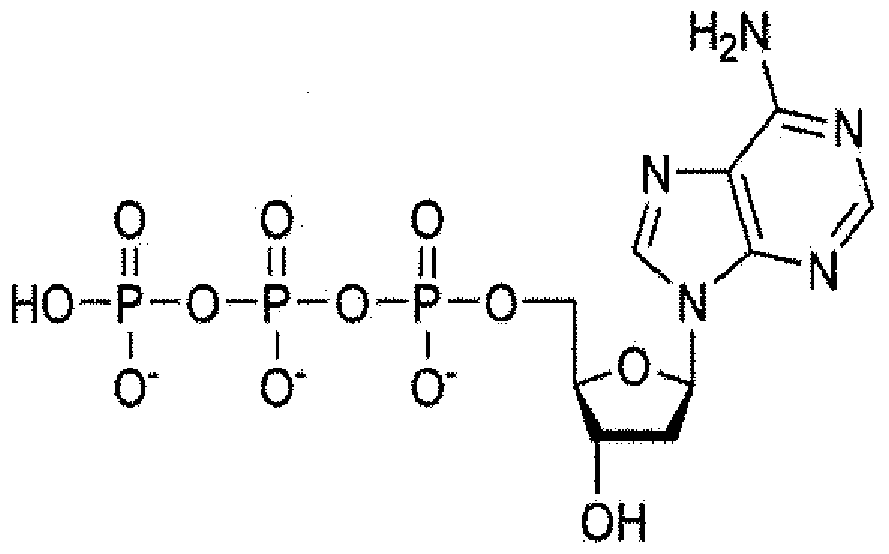 Figure imgf000066_0002