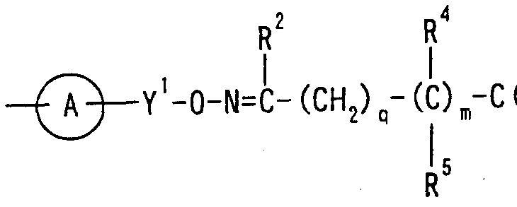 Figure imgf000060_0001
