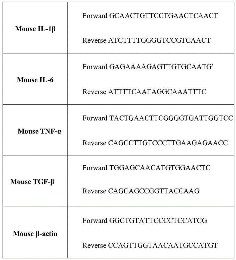 Figure BDA0002961614250000071