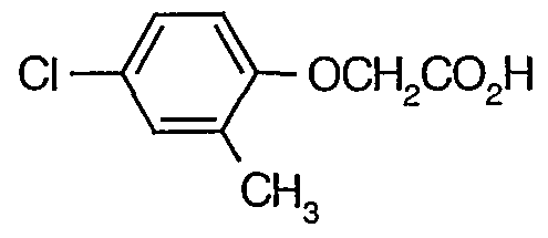 Figure imgf000254_0004