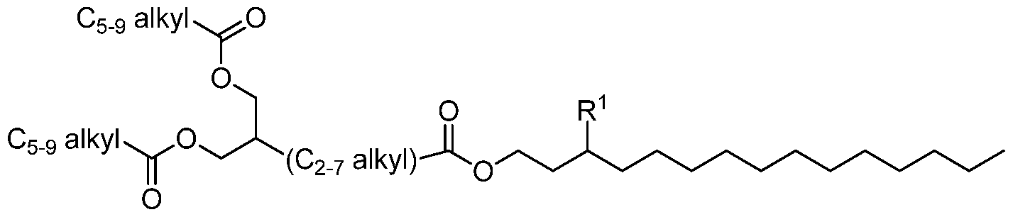 Figure imgf000024_0001