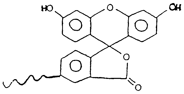 Figure imgf000033_0001