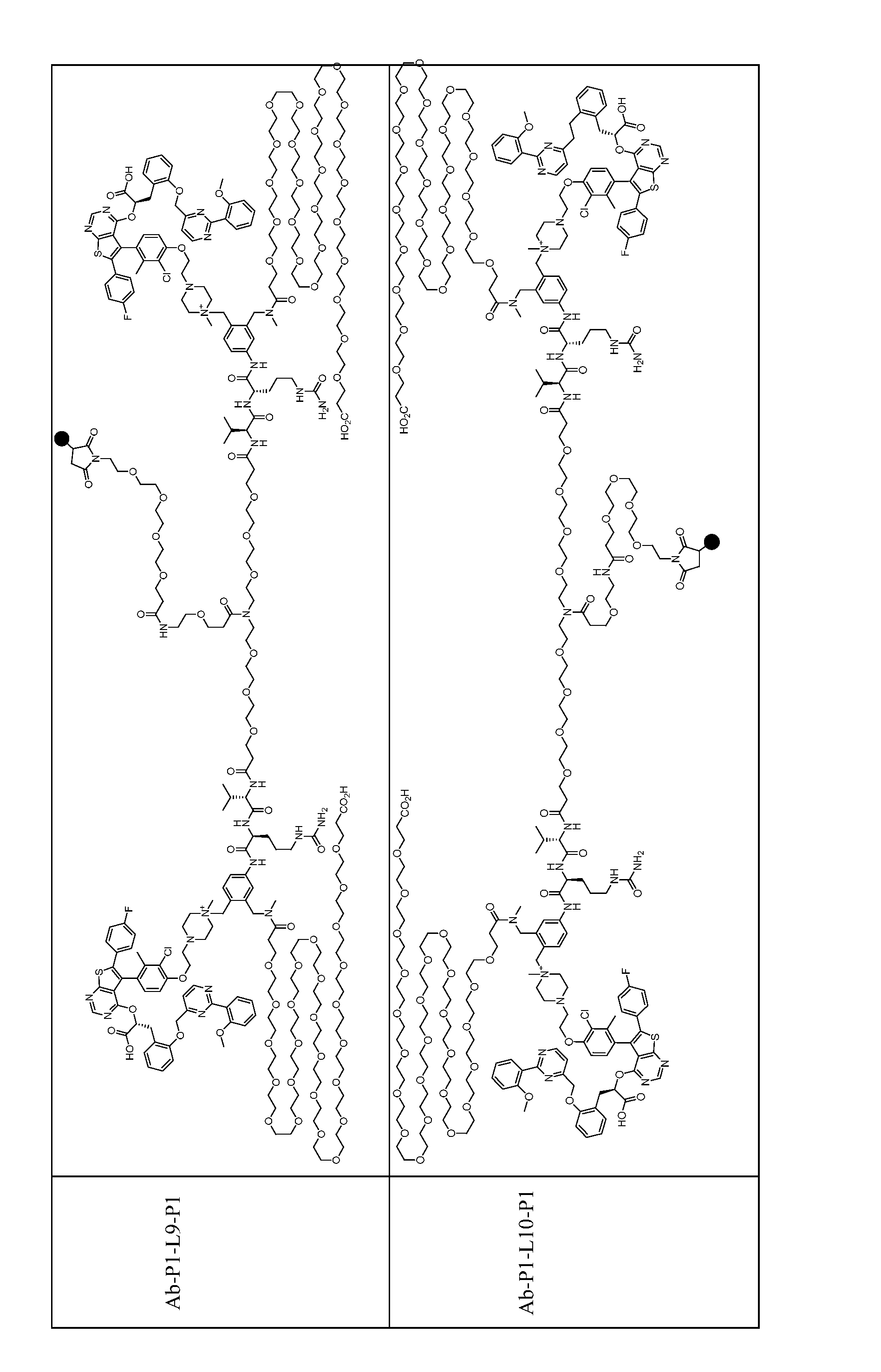 Figure imgf000162_0001