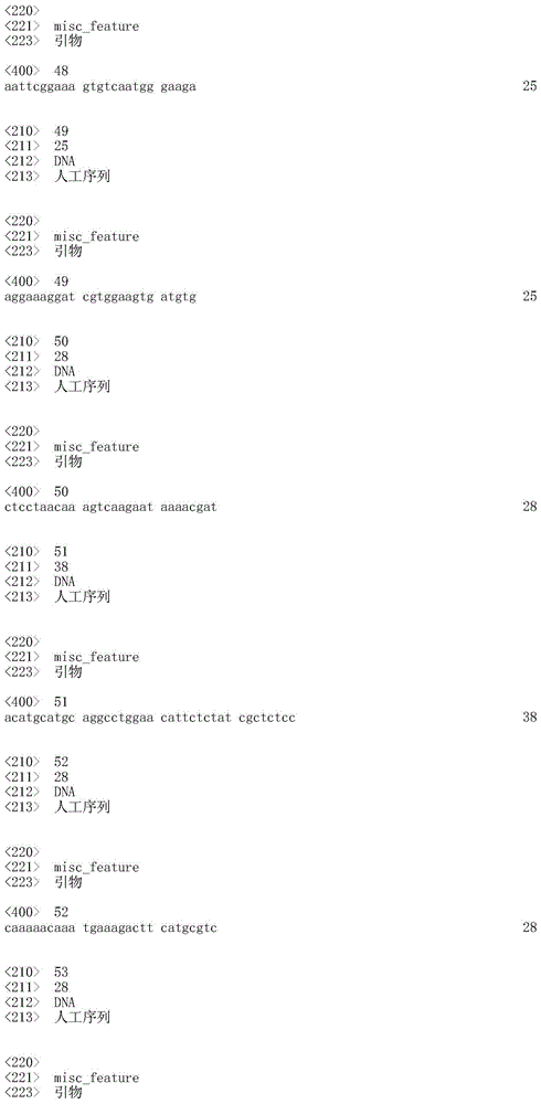 Figure IDA0000709651710000101