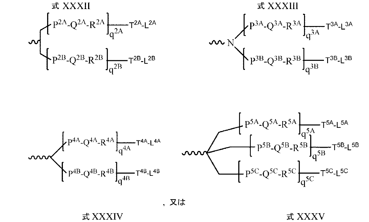 Figure 0007602507000014