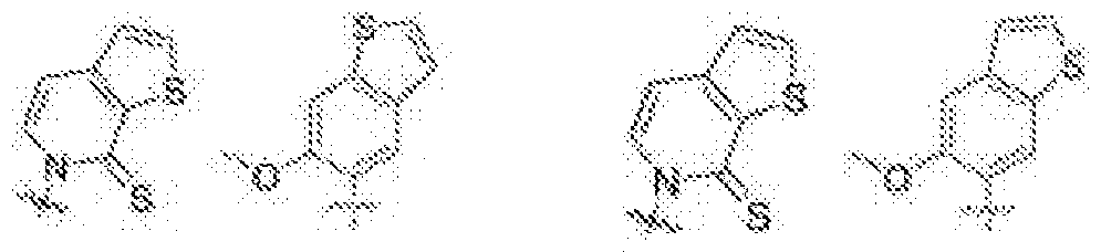 Figure imgf000005_0004