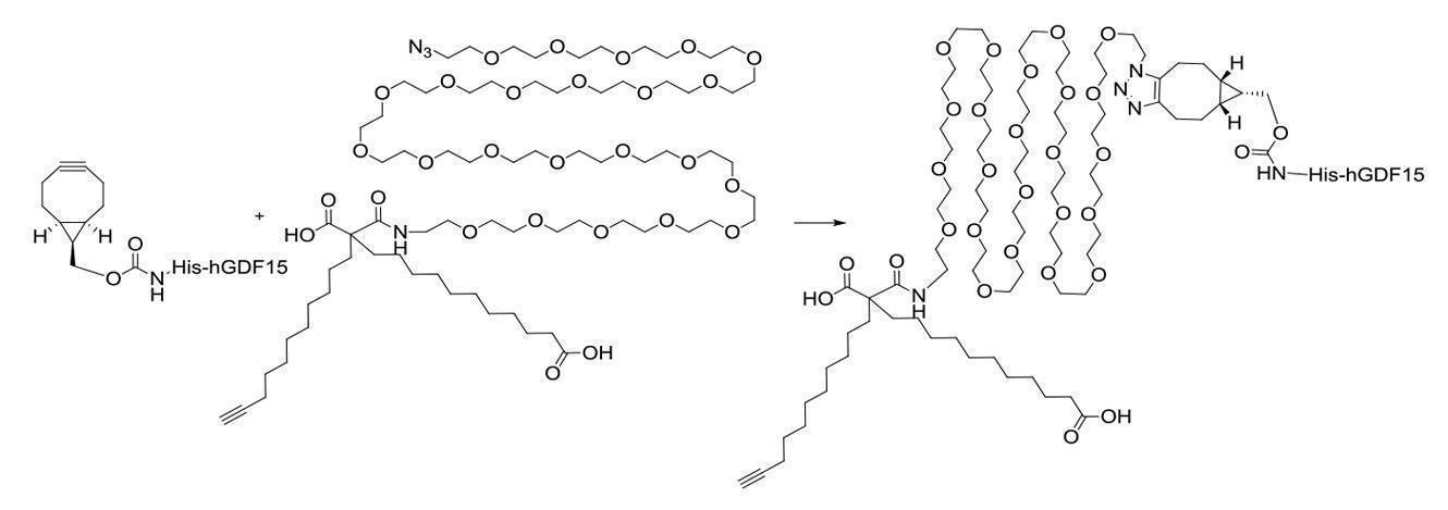 Figure 2022095757000142