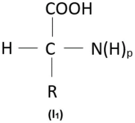 Figure BDA0004014751460000021