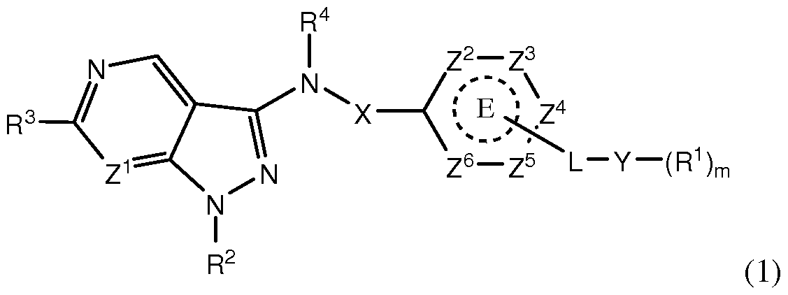 Figure imgf000009_0001