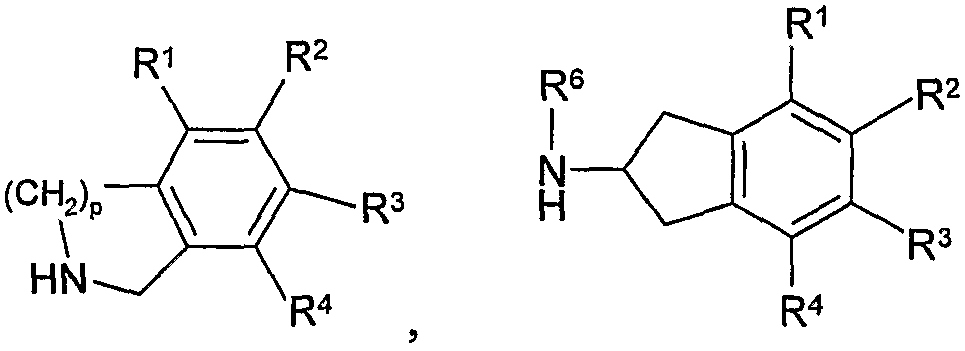 Figure 112008003947162-PCT00032