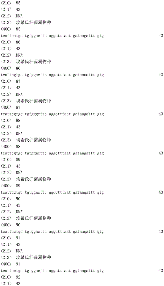 Figure IDA0002371381710000541