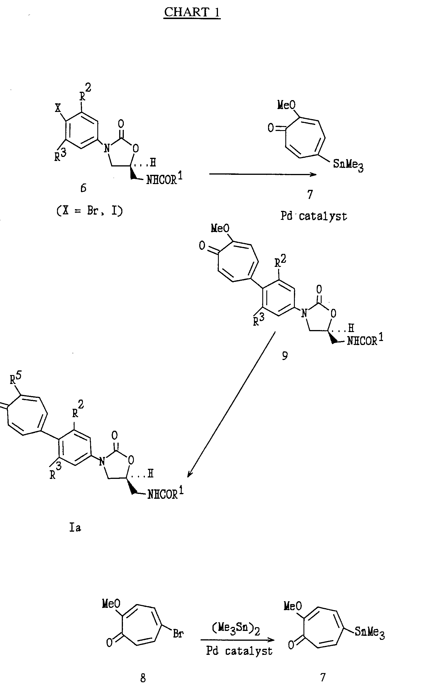 Figure imgf000011_0001