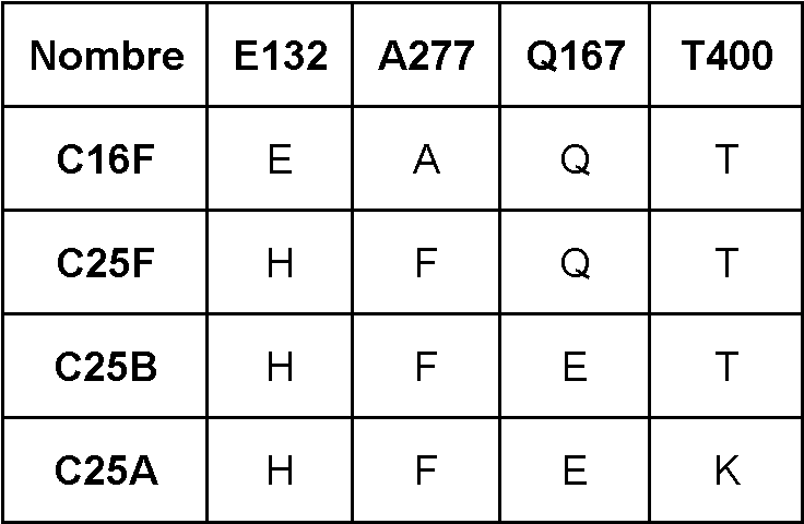 Figure imgf000074_0001
