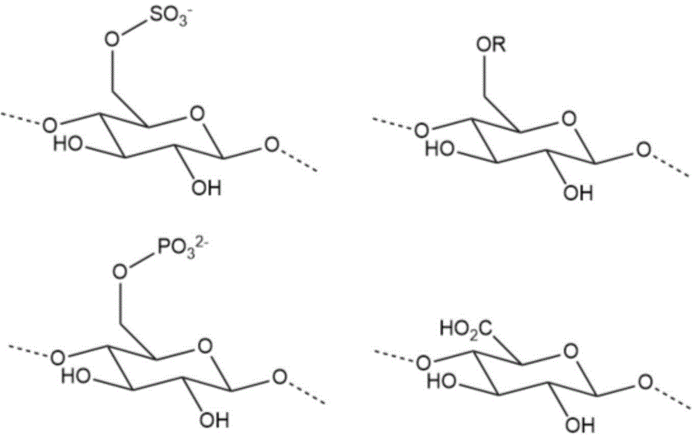 Figure BDA0003418292980000081