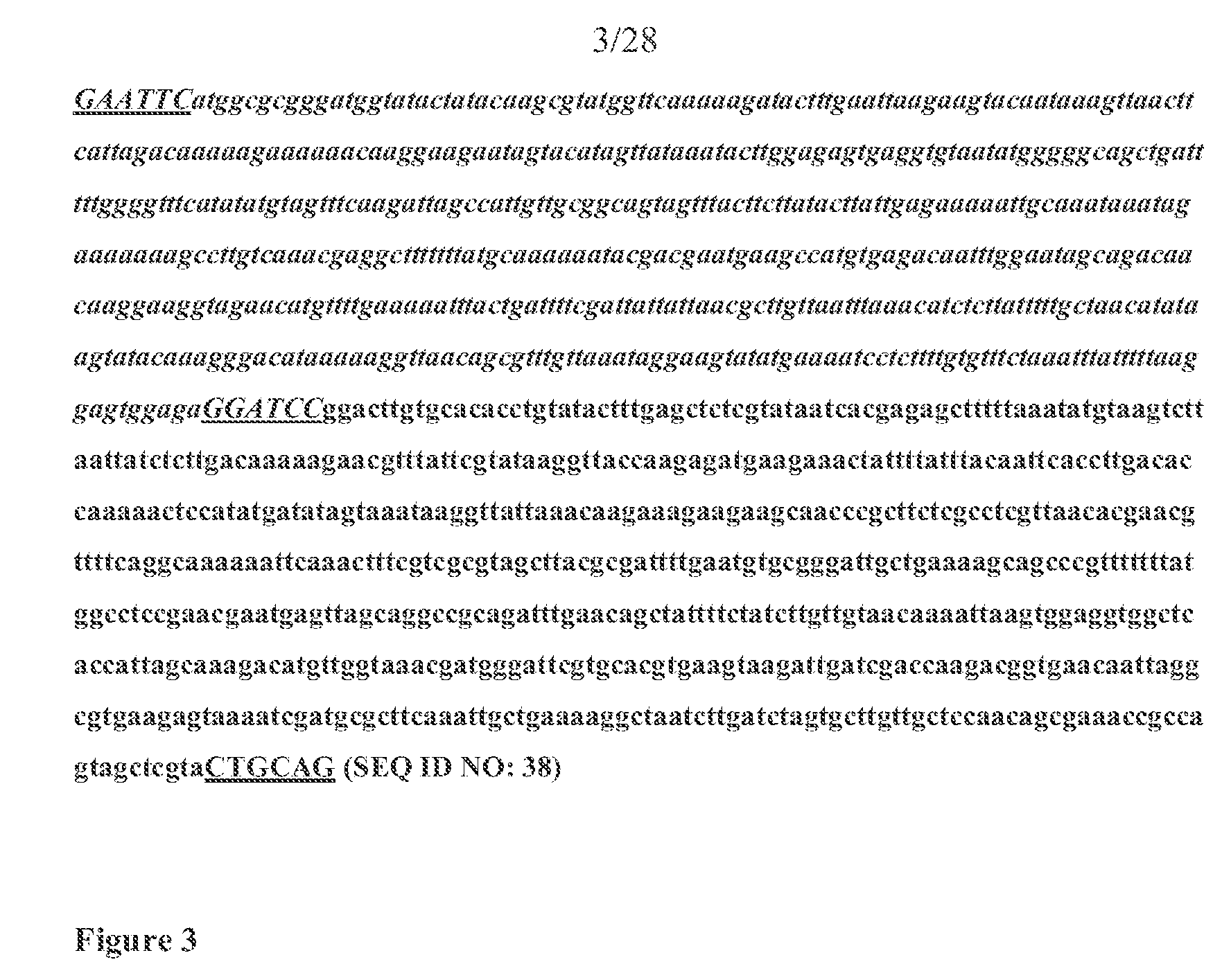 Figure imgf000096_0001