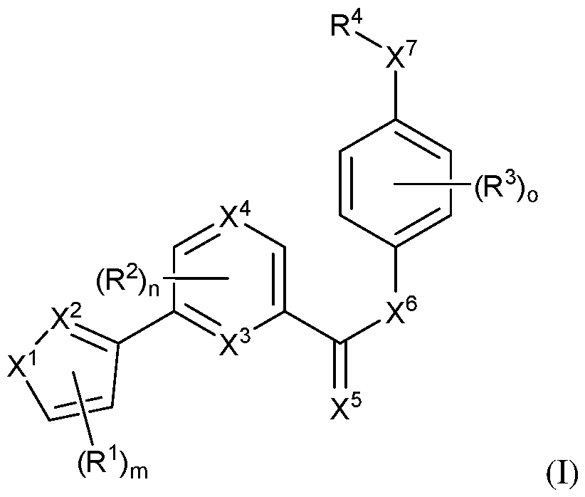 Figure imgf000004_0001