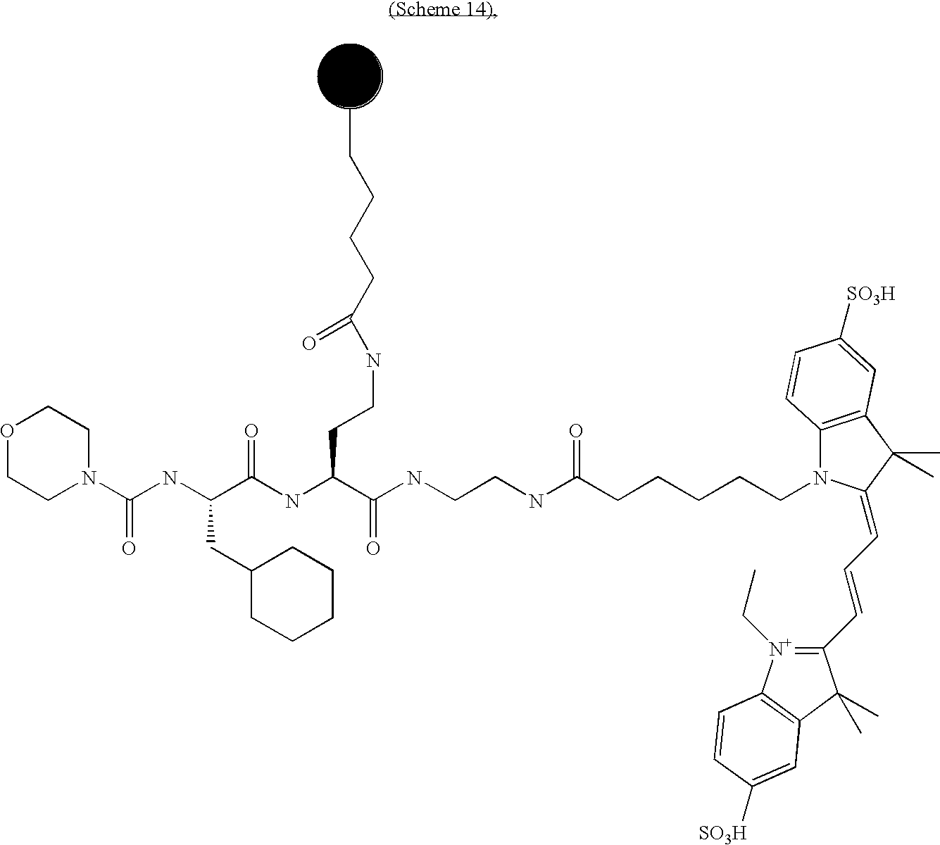 Figure US20100189658A1-20100729-C00034