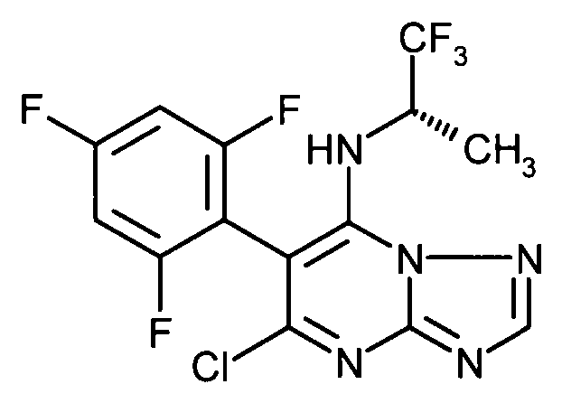 Figure DE102007045920B4_0172