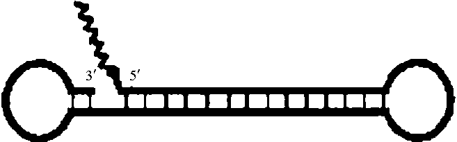 Figure US09663784-20170530-C00015