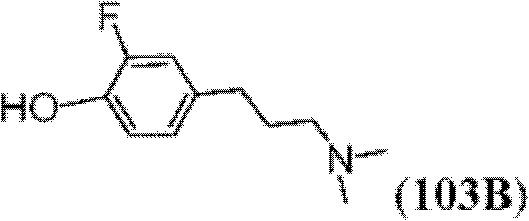 Figure BDA0000083236130002781