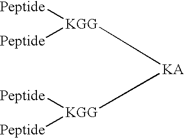 Figure US20050142132A1-20050630-C00001